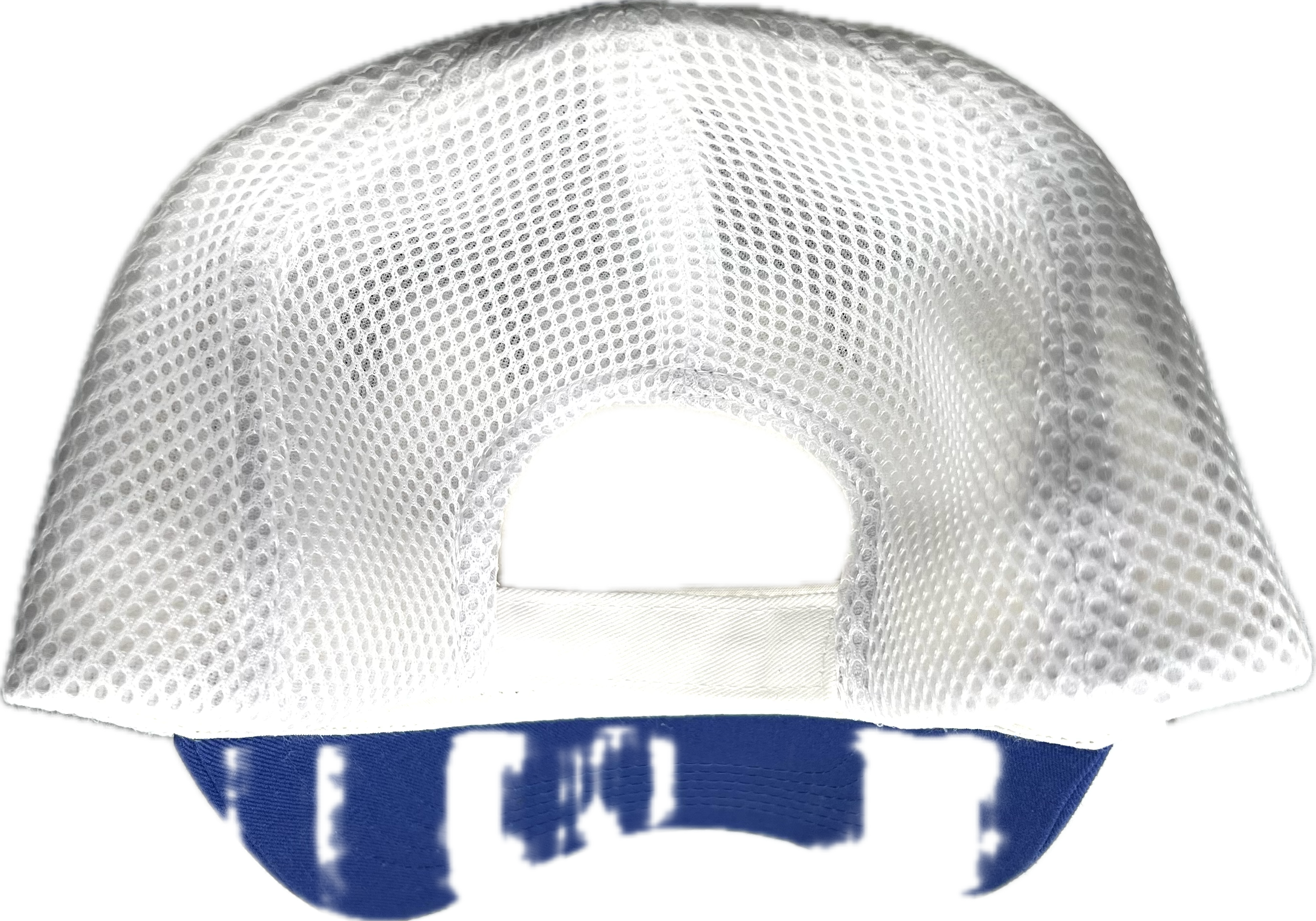 All In Fishing royal blue white Mesh-Back Twill baseball cap/hat